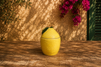 Quemador Lemon
